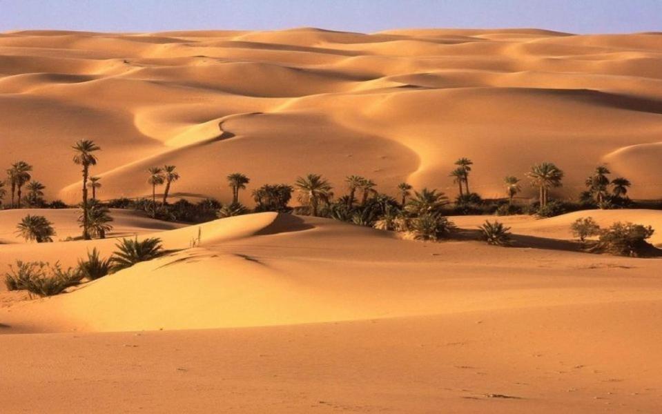 Camp Sahara Holidays マハミド エクステリア 写真