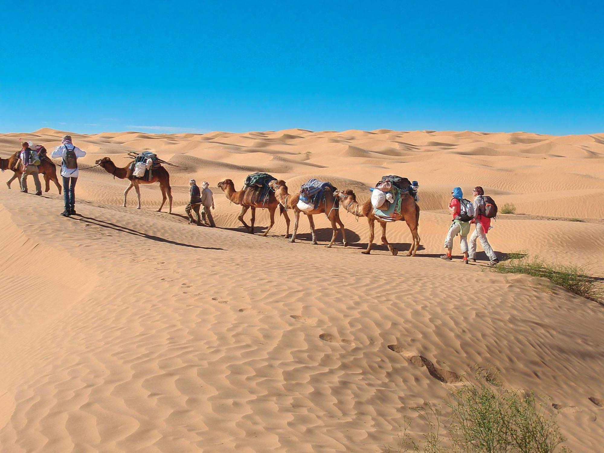 Camp Sahara Holidays マハミド エクステリア 写真