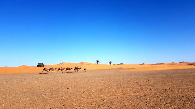 Camp Sahara Holidays マハミド エクステリア 写真