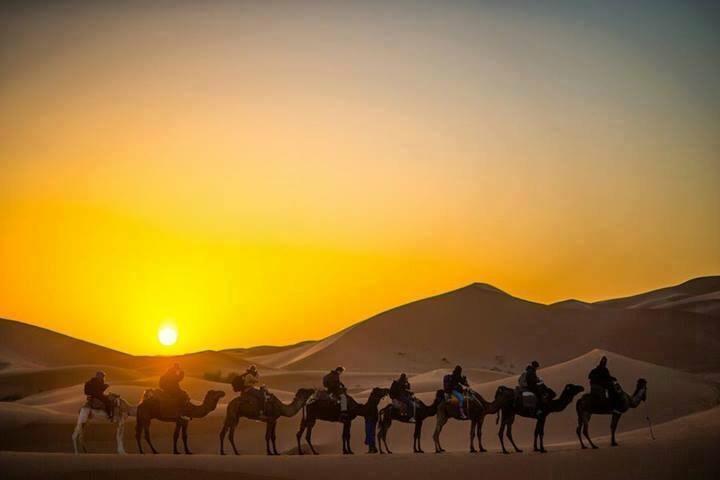 Camp Sahara Holidays マハミド エクステリア 写真