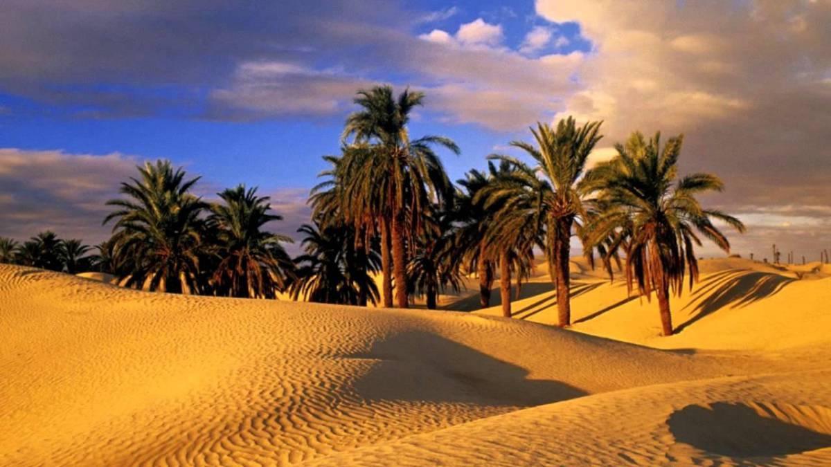 Camp Sahara Holidays マハミド エクステリア 写真
