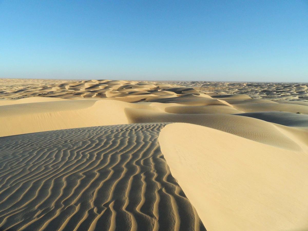 Camp Sahara Holidays マハミド エクステリア 写真