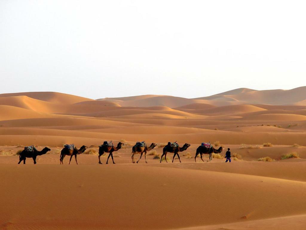 Camp Sahara Holidays マハミド エクステリア 写真