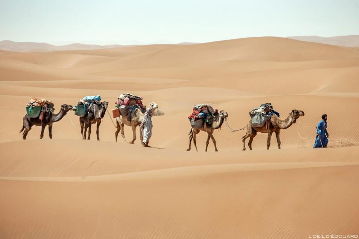 Camp Sahara Holidays マハミド エクステリア 写真